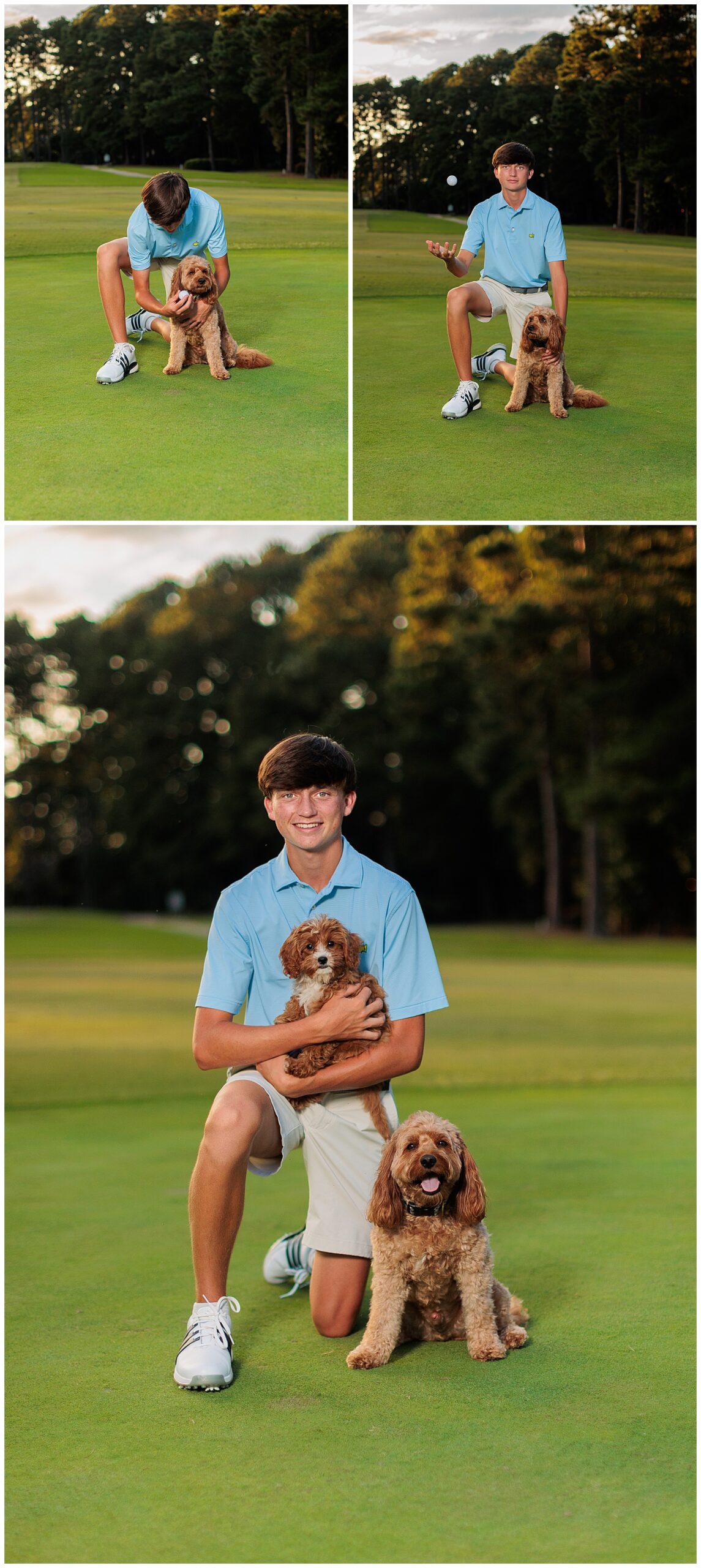 senior session with puppies